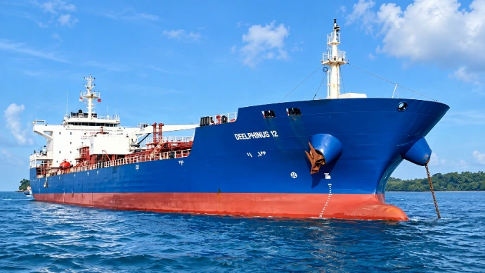 DDELPHINUS 12